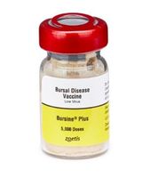 Bursine Plus  (Gumboro or IBD) disease vaccine, Lukert strain  5000 dose