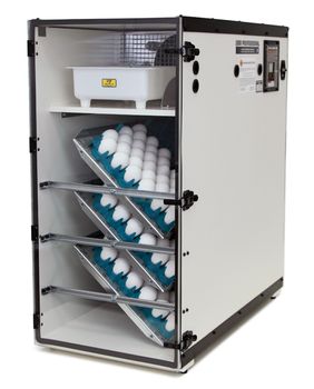 clear door for Sportsman incubator for 2011 or newer incubators #3065R (+freight)