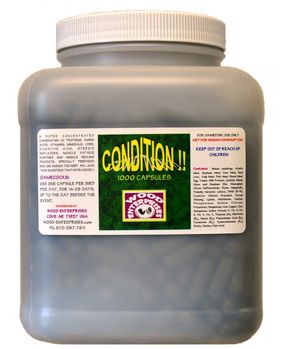 Condition!!  1000 capsules 