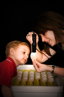 Egg Candler & Extra Bulbs Egg Candler & Extra Bulbs