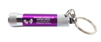 Flashlight with key chain