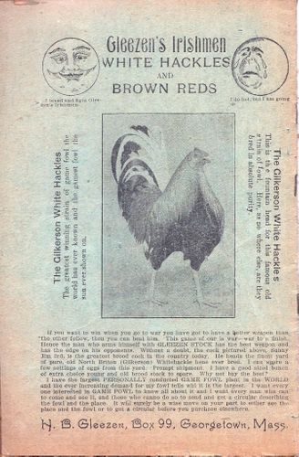 From Shell to Pit (H.B. "Dad" Gleezen) From Shell to Pit (H.B. "Dad" Gleezen)