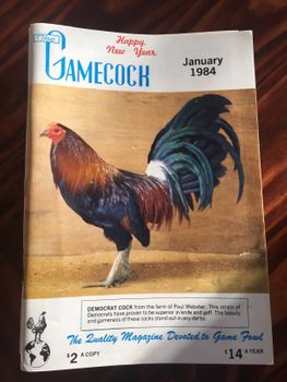 The Gamecock 1984 