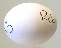 Hatching Eggs (PREORDER, THESE WILL NOT SHIP UNTIL MARCH or later)