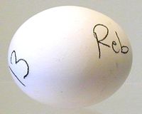 **SPECIAL** Grab Bag of what we have on hand Mix of Pure & Crossed Hatching Eggs (DOZEN) 