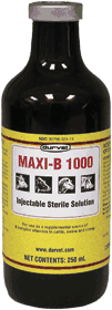 Maxi B 1000   250ml