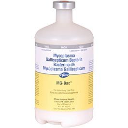 MG BAC  (Killed CRD vaccine) 1000 dose 
