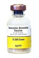 Newcastle Bronchitis B1, Mass. & Conn. 10,000 dose
