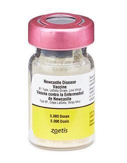 Newcastle Disease vaccine  Lasota   5,000 dose ** EXP DATE 03/2024 & 08/2024**