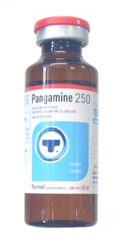 Pangamine 250  30ml inj.