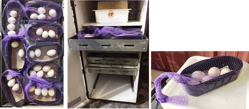 Plastic Mesh Hatching Bag - YELLOW Plastic Mesh Hatching Bag - YELLOW