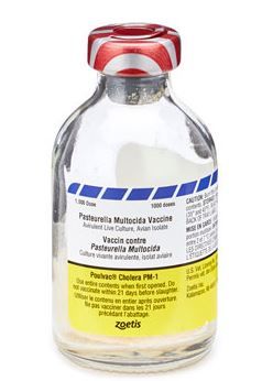 Poulvac Cholera PM-1   1000 dose    