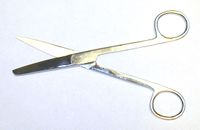 Scissors  surgical 6.5" straight blade