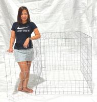 Stag Pen  (code GREEN)