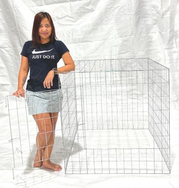 Stag Pen  (code GREEN)