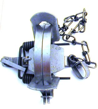 Duke Steel Leg Trap #2   coil spring