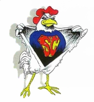 Supplements Listed by Type