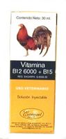 Vitamin B12 6000 + B-15  30ml
