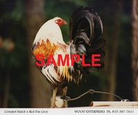 Wood Enterprises T-Shirt - Grey Rooster