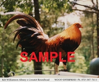 Wood Enterprises T-Shirt - Red Rooster 1