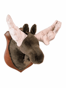 Childrens Decor