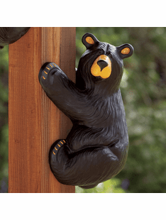Climber Bear Grand