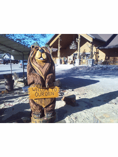 CUSTOM CHUNKY BEAR WITH SIGN CHAINSAW CARVING