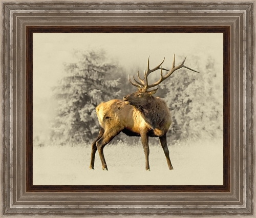 Elk Wall Art" title="Elk Wall Art