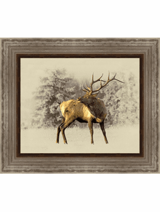 Elk Wall Art