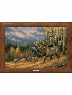 Gallery Collection