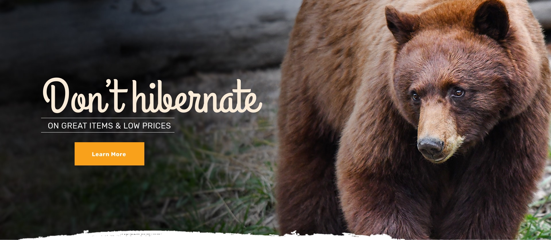 Don't hibernate on great items & low prices