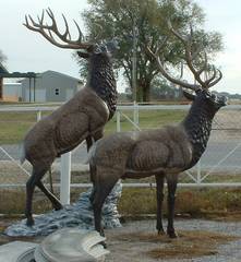Metal Yard Sculptures" title="Metal Yard Sculptures