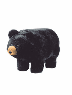 "MIDNITE" BLACK BEAR