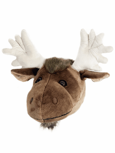 Moose Trophy Head