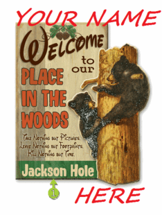 Personalized Cabin Signs