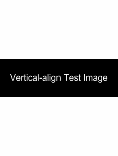 Qa Test Item 5