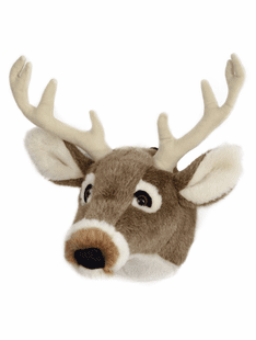White Tail Deer Large Trophy Head