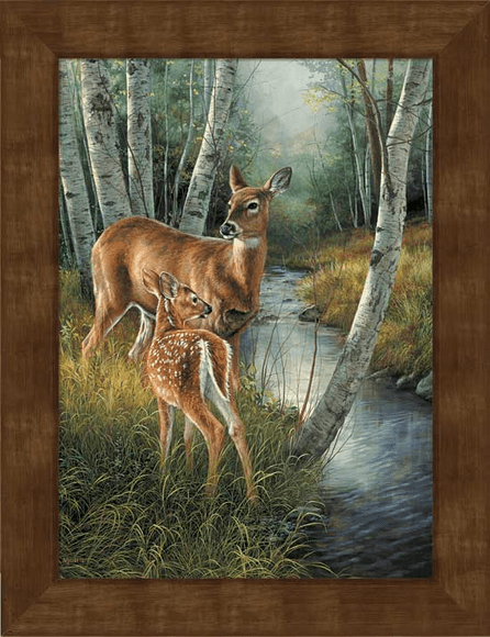 Canvas Collection" title="Canvas Collection
