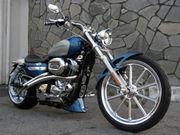 Sportster Lowering Kits 