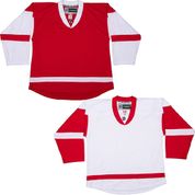 Detroit Red Wings DJ300 Replica Jerseys" title="Detroit Red Wings DJ300 Replica Jerseys
