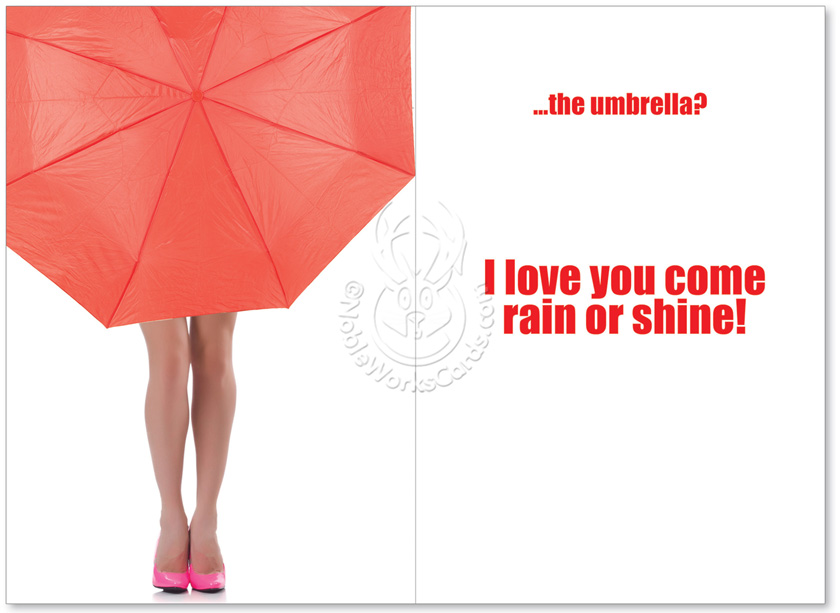 Mean Give Her The Umbrella Valentine's Day Card Nobleworks