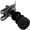 Hayward Pool Products KNURLED HEAD DOOR SCREW CZ & H # CHXDSW1930