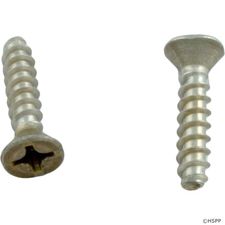 Hayward Screws, WGX1048E Sumps/Frames w/o Metal Inserts (Set of 2) # SPX1039Z1D