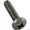 Pentair Screw 1/4-20X1 Lh Ph Ph # 071652
