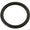 Waterway Plastics O-Ring # 805-0116EP