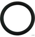 Waterway Plastics O-Ring, Knob (1999) # 805-0215