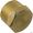 Jandy 3/4 Npt Plug, Bronze # R0477900