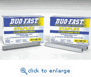 Duo-Fast A1110D 3/8&quot; (T-50) D Point Galvanized Staple (5,000 Per Box)