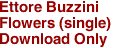 Ettore Buzzini
Flowers (single)
Download Only