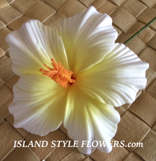 Tropical Foam Flowers Hawaiian Foam Flowers Hibiscus Flower